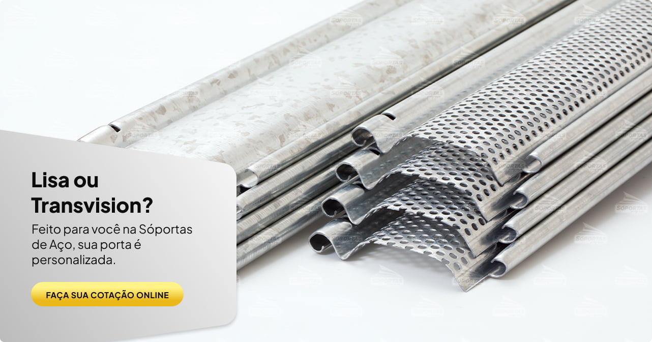 Lisa ou Transvision?